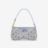 b2 c Blue Blossom